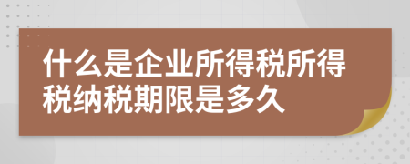 什么是企业所得税所得税纳税期限是多久