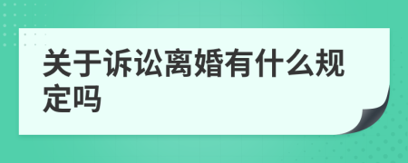 关于诉讼离婚有什么规定吗