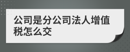 公司是分公司法人增值税怎么交