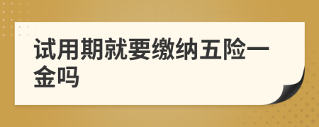 试用期就要缴纳五险一金吗