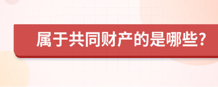 属于共同财产的是哪些?