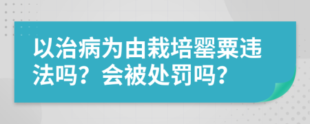 以治病为由栽培罂粟违法吗？会被处罚吗？