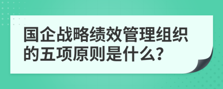 国企战略绩效管理组织的五项原则是什么？