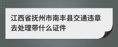 江西省抚州市南丰县交通违章去处理带什么证件