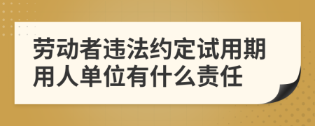 劳动者违法约定试用期用人单位有什么责任