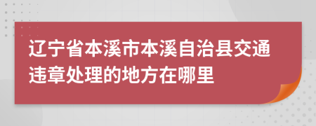 辽宁省本溪市本溪自治县交通违章处理的地方在哪里