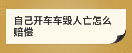 自己开车车毁人亡怎么赔偿