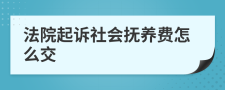 法院起诉社会抚养费怎么交