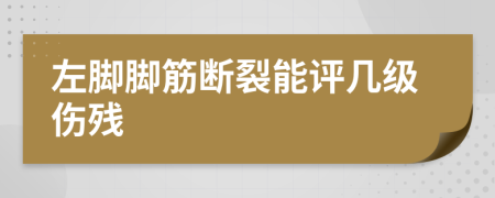 左脚脚筋断裂能评几级伤残