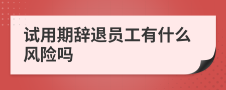 试用期辞退员工有什么风险吗