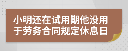 小明还在试用期他没用于劳务合同规定休息日