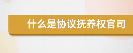 什么是协议抚养权官司
