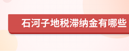 石河子地税滞纳金有哪些