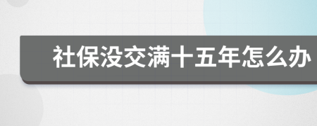 社保没交满十五年怎么办