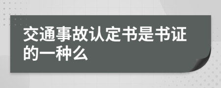 交通事故认定书是书证的一种么