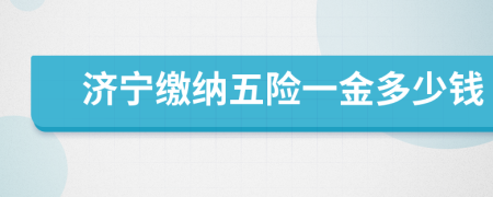 济宁缴纳五险一金多少钱