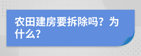 农田建房要拆除吗？为什么？