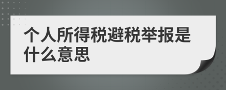 个人所得税避税举报是什么意思