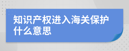 知识产权进入海关保护什么意思