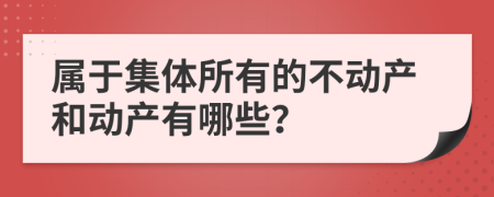 属于集体所有的不动产和动产有哪些？