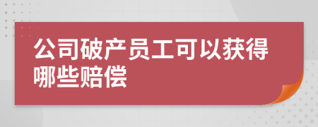 公司破产员工可以获得哪些赔偿