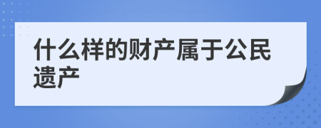 什么样的财产属于公民遗产