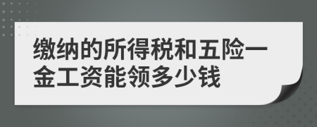 缴纳的所得税和五险一金工资能领多少钱