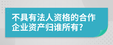 不具有法人资格的合作企业资产归谁所有?