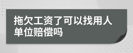 拖欠工资了可以找用人单位赔偿吗