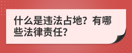 什么是违法占地？有哪些法律责任？