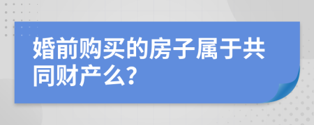 婚前购买的房子属于共同财产么？