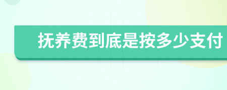 抚养费到底是按多少支付