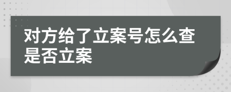 对方给了立案号怎么查是否立案