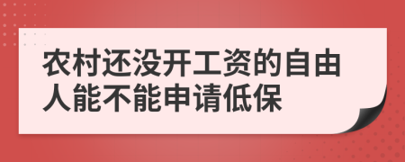 农村还没开工资的自由人能不能申请低保