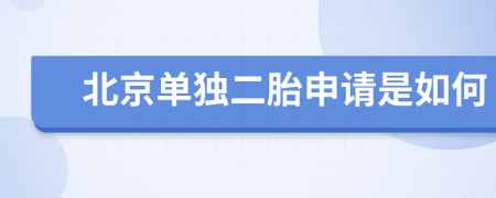 北京单独二胎申请是如何