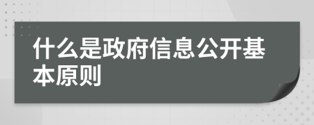 什么是政府信息公开基本原则