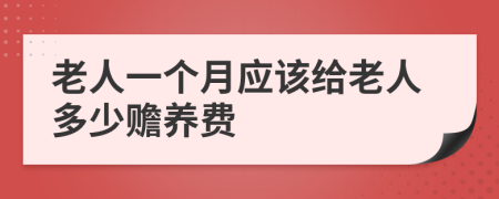 老人一个月应该给老人多少赡养费