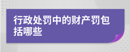 行政处罚中的财产罚包括哪些