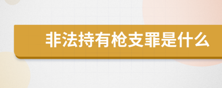 非法持有枪支罪是什么