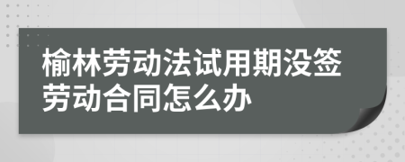 榆林劳动法试用期没签劳动合同怎么办