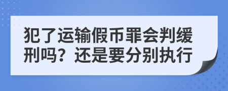 犯了运输假币罪会判缓刑吗？还是要分别执行