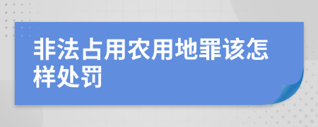 非法占用农用地罪该怎样处罚