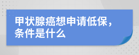 甲状腺癌想申请低保，条件是什么