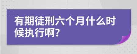 有期徒刑六个月什么时候执行啊？