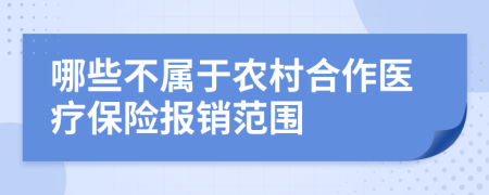 哪些不属于农村合作医疗保险报销范围