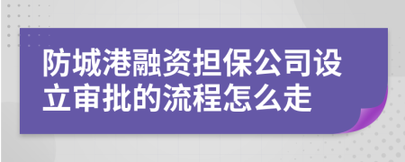 防城港融资担保公司设立审批的流程怎么走