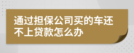 通过担保公司买的车还不上贷款怎么办