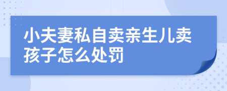 小夫妻私自卖亲生儿卖孩子怎么处罚