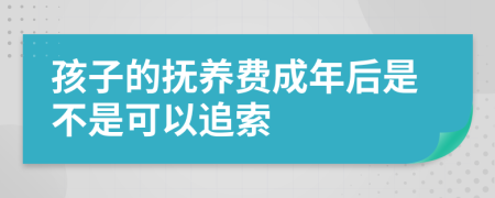 孩子的抚养费成年后是不是可以追索
