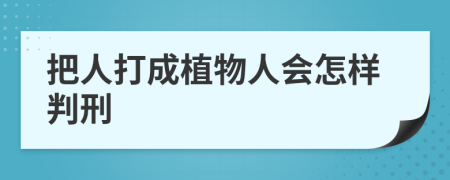 把人打成植物人会怎样判刑